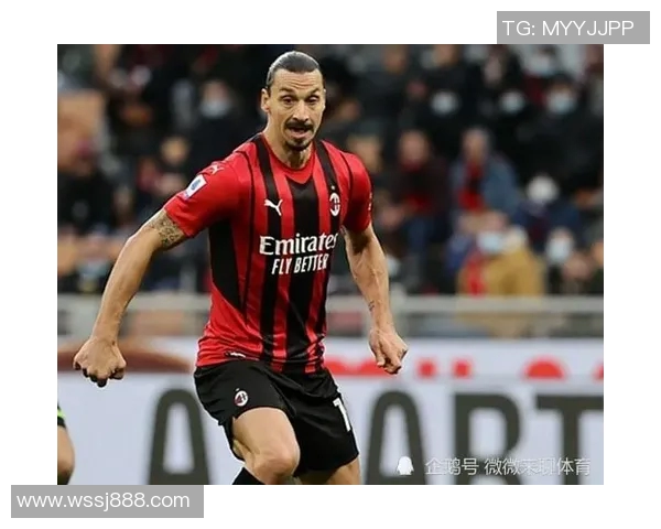 名古屋钻石海豚迎战京都创荣力争主场胜利展现球队实力